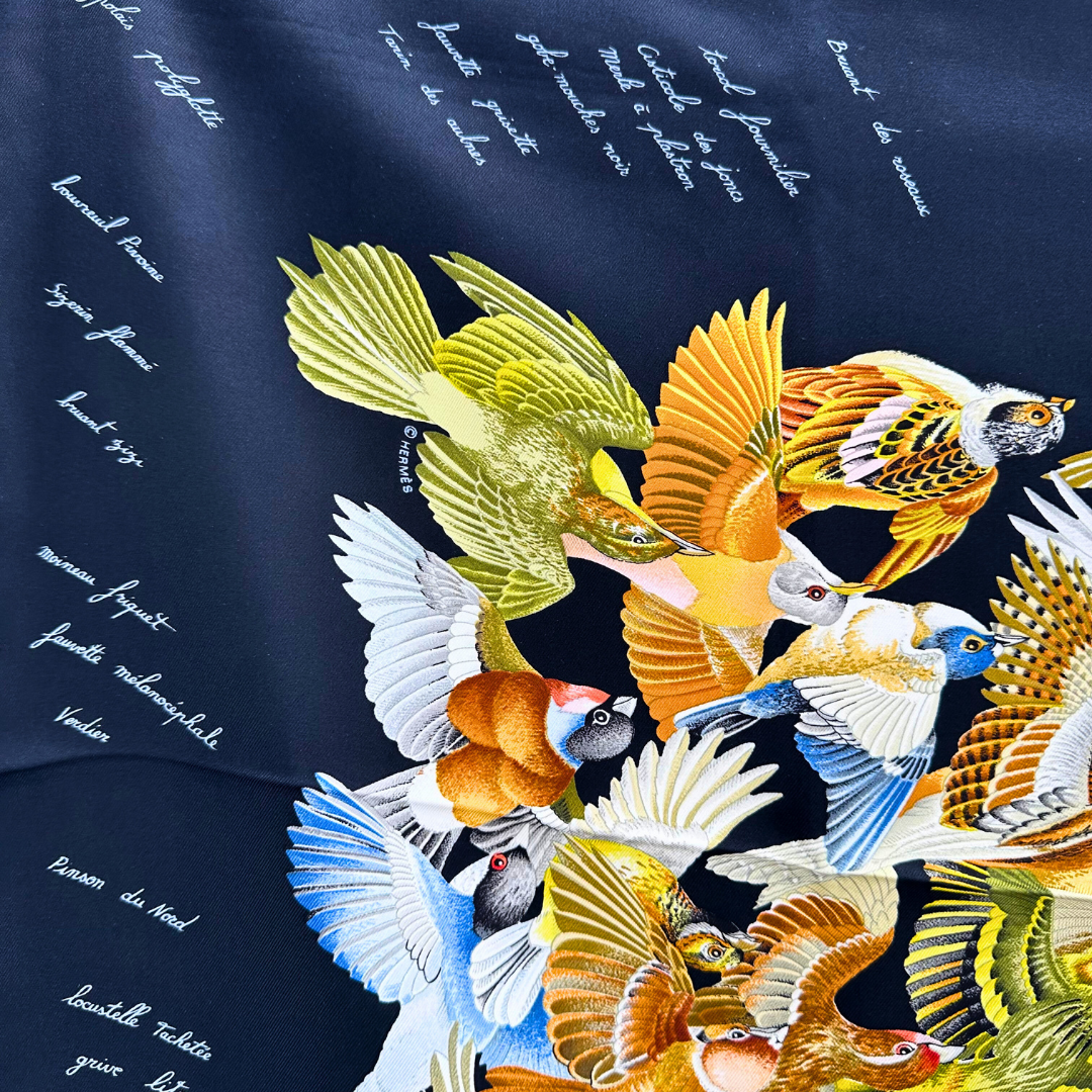 L'Intrus Hermes Scarf by Antoine de Jacquelot