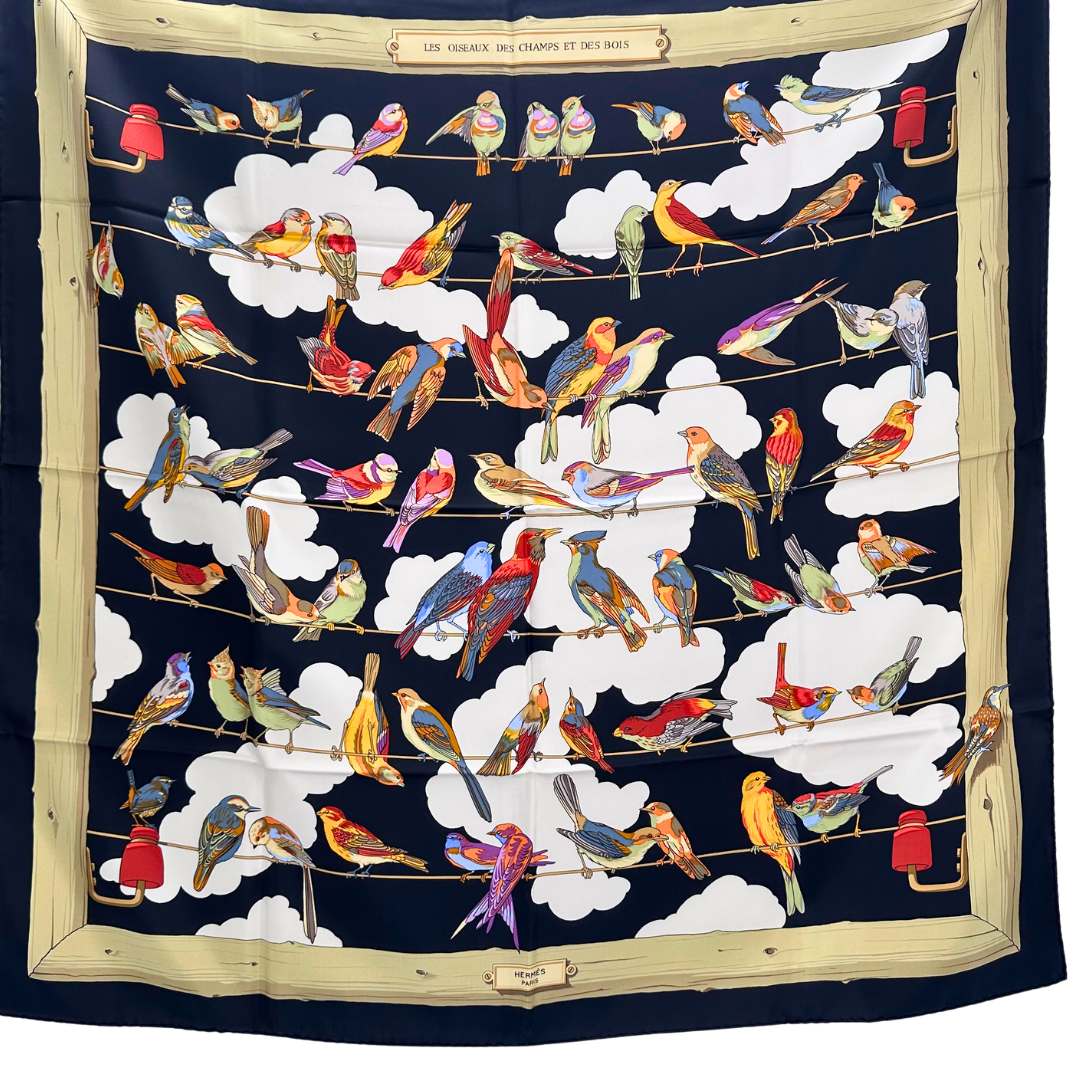 Les Oiseaux des Champs et des Bois Hermes Scarf by Hugo Grygkar