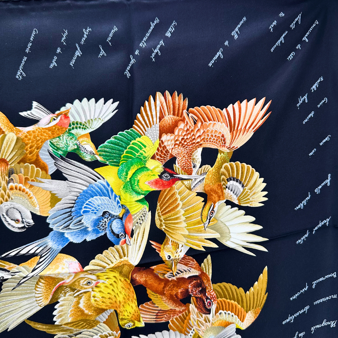 L'Intrus Hermes Scarf by Antoine de Jacquelot