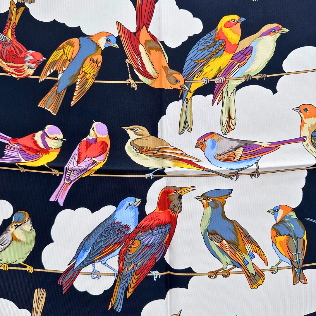 Les Oiseaux des Champs et des Bois Hermes Scarf by Hugo Grygkar