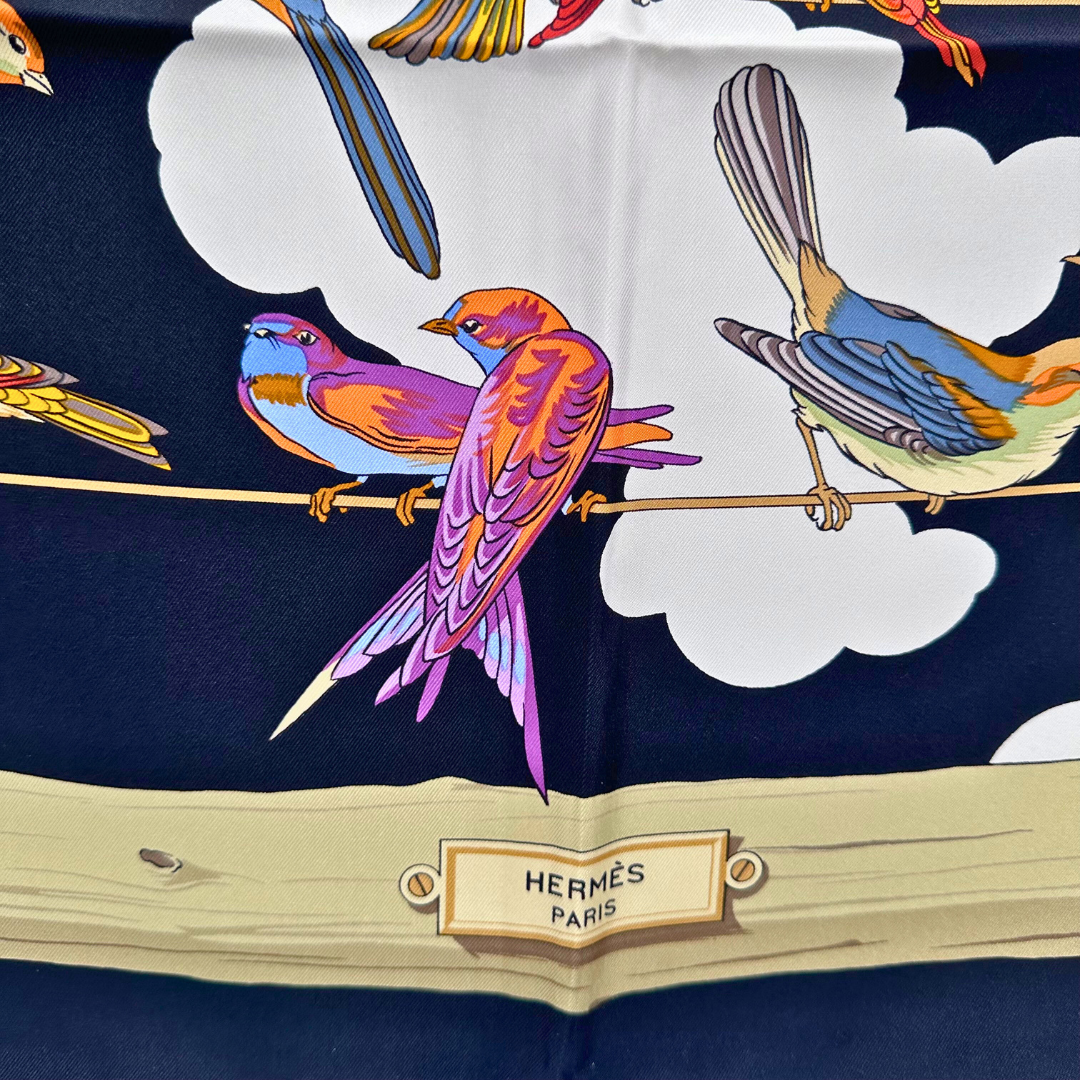 Les Oiseaux des Champs et des Bois Hermes Scarf by Hugo Grygkar