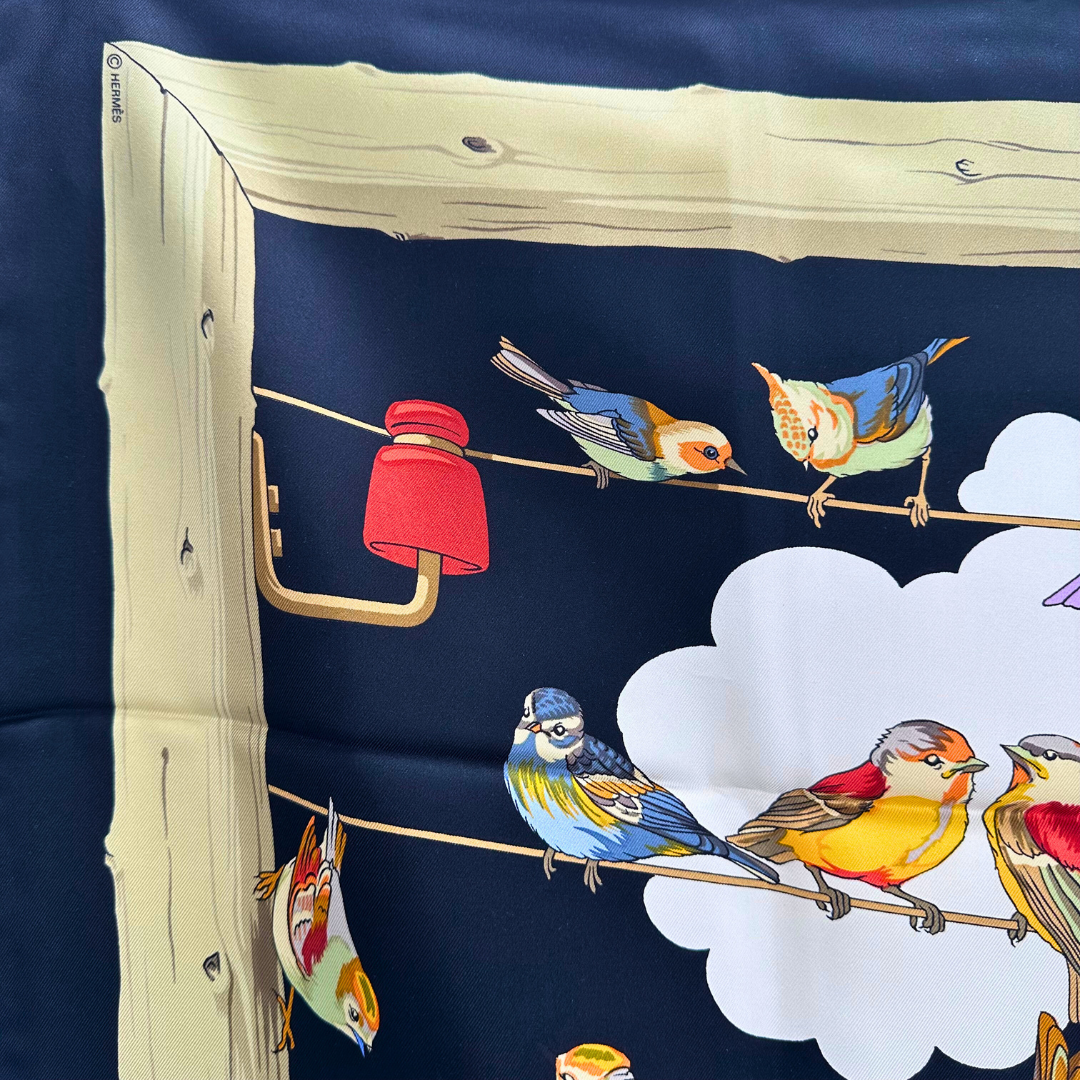 Les Oiseaux des Champs et des Bois Hermes Scarf by Hugo Grygkar