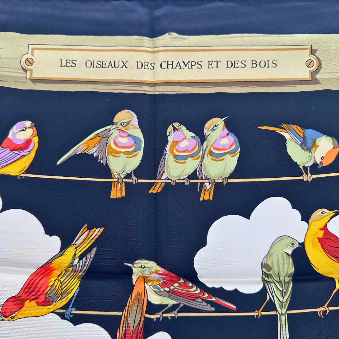 Les Oiseaux des Champs et des Bois Hermes Scarf by Hugo Grygkar