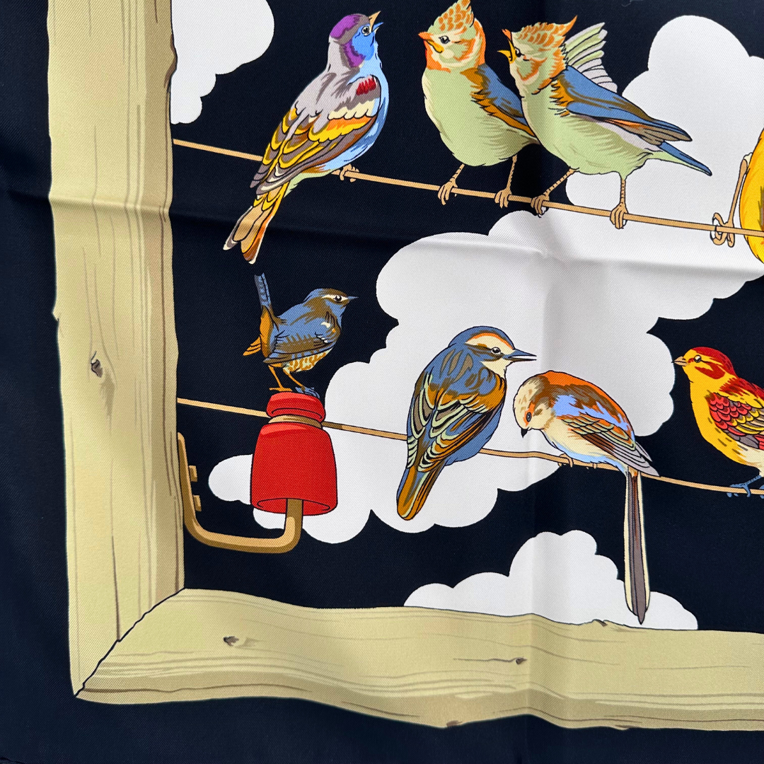 Les Oiseaux des Champs et des Bois Hermes Scarf by Hugo Grygkar