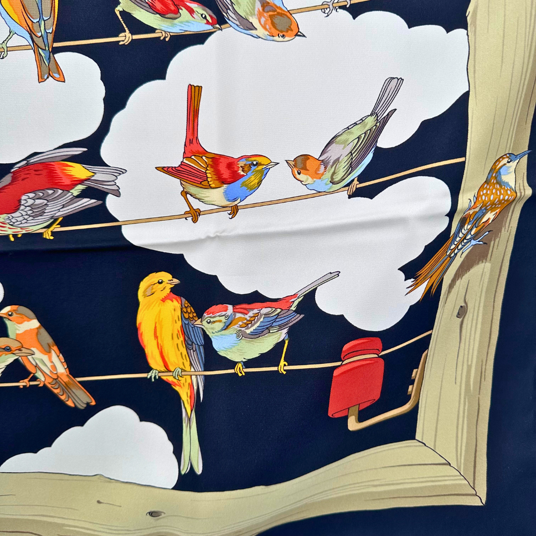 Les Oiseaux des Champs et des Bois Hermes Scarf by Hugo Grygkar