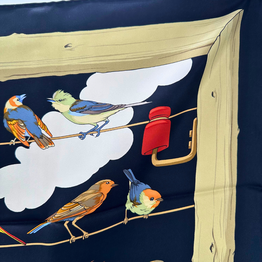 Les Oiseaux des Champs et des Bois Hermes Scarf by Hugo Grygkar