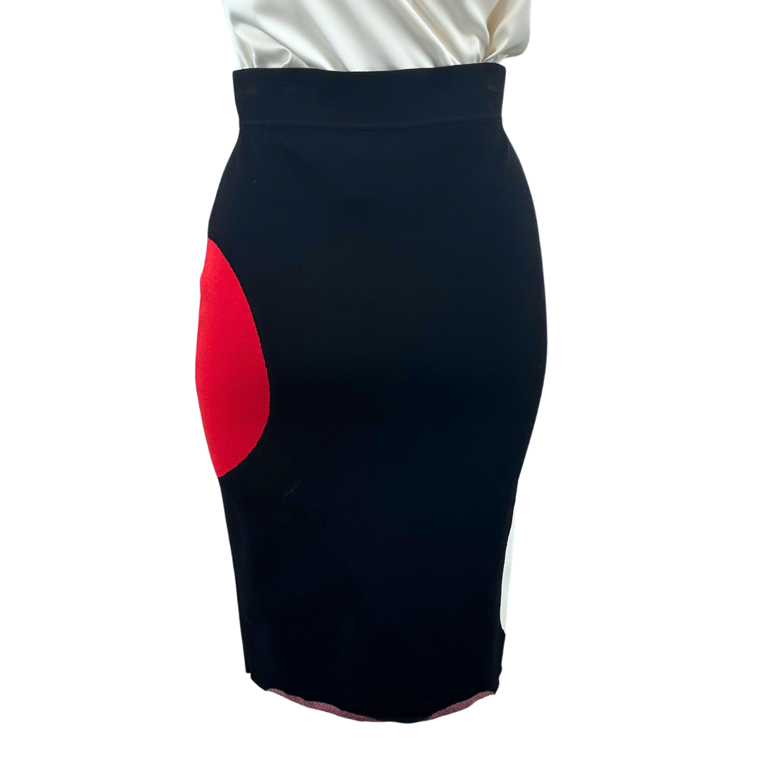 Alexander McQueen Black/Red Skirt