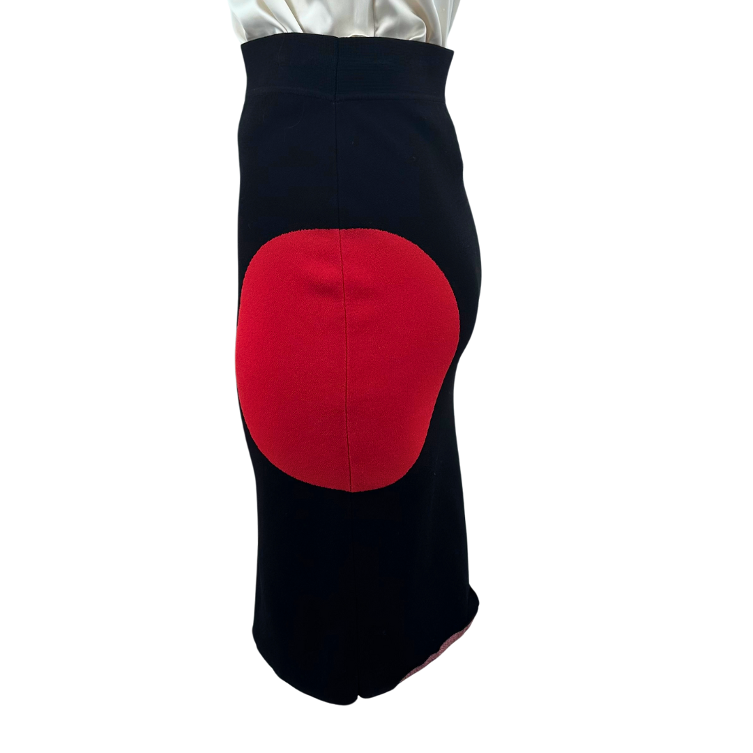 Alexander McQueen Black/Red Skirt