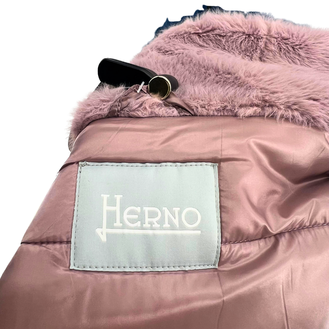 Herno Purple Coat