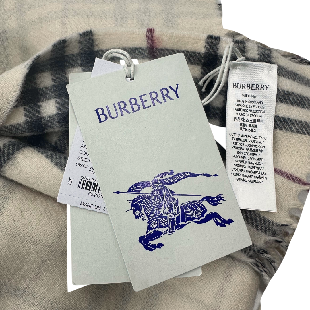 Burberry Winter Scarf