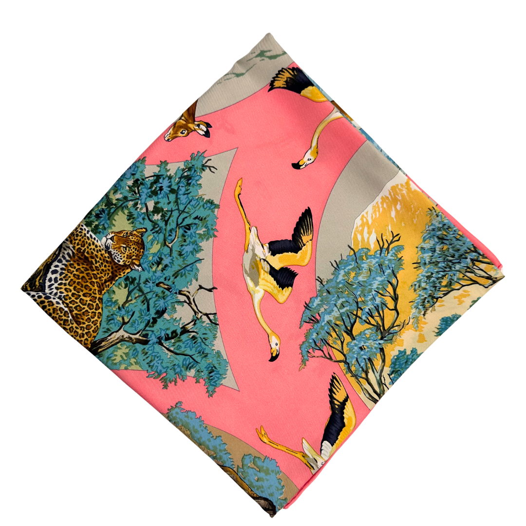 Tanzanie Hermes Scarf by Robert Dallet