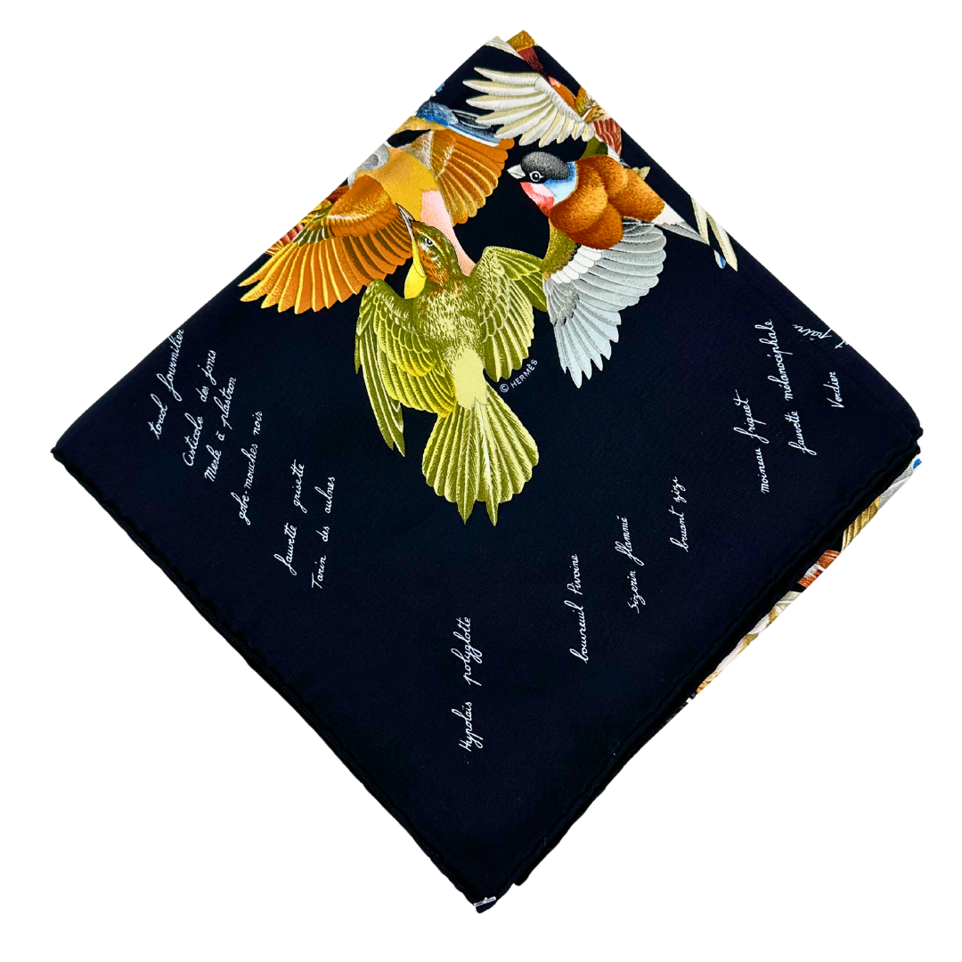 L'Intrus Hermes Scarf by Antoine de Jacquelot