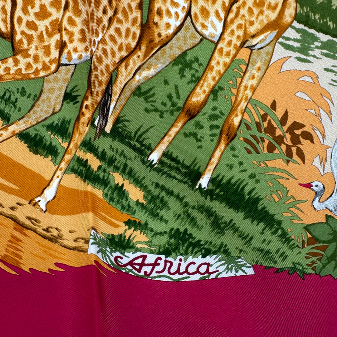 Africa Hermes Scarf by Robert Dallet