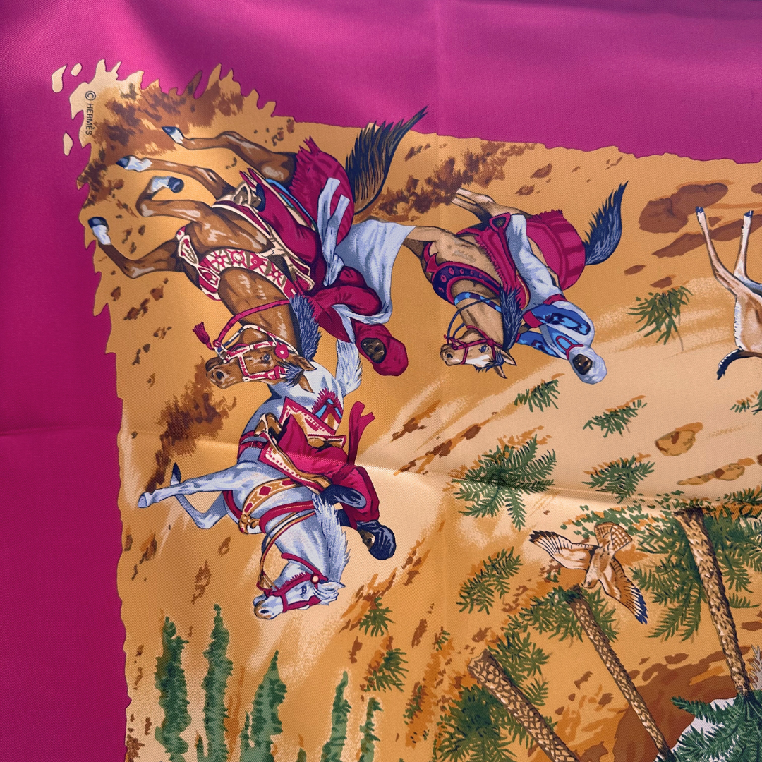 Africa Hermes Scarf by Robert Dallet