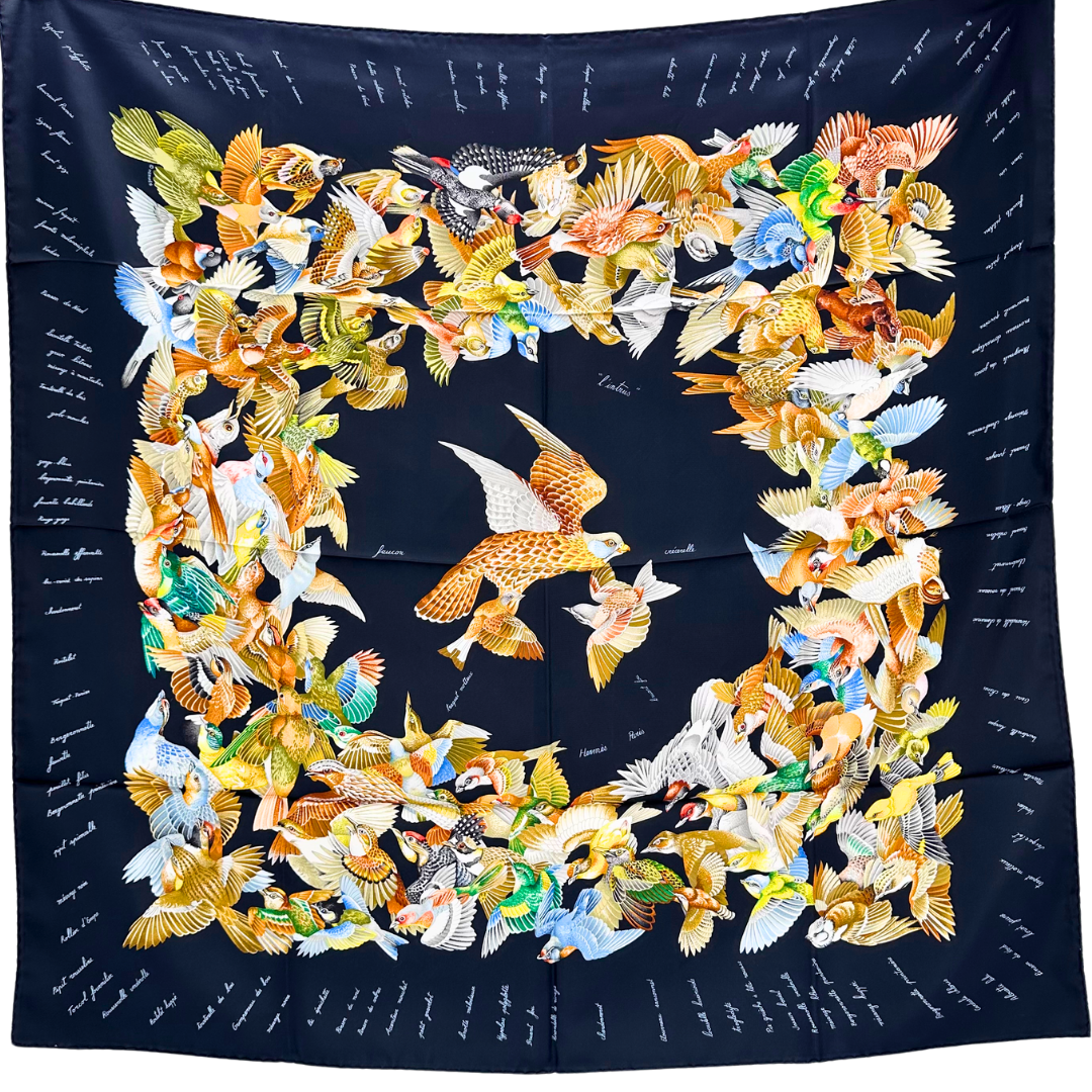 L'Intrus Hermes Scarf by Antoine de Jacquelot